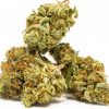 Blue Dream Online