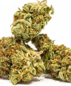 Blue Dream Online