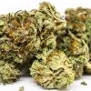 Bubba Kush Online