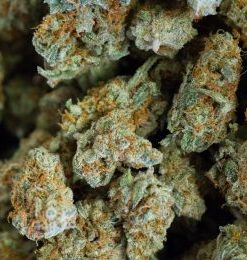 Ghost Train Haze