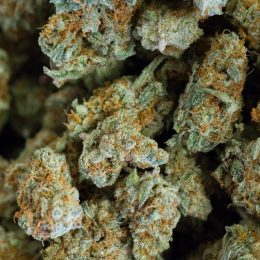 Ghost Train Haze