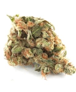 Alternative view of Girls Scout Cookies