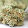 Girls Scout Cookies